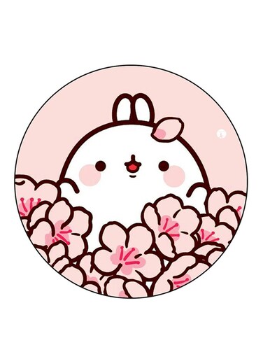 Rabbit Printed Fridge Magnet Multicolour