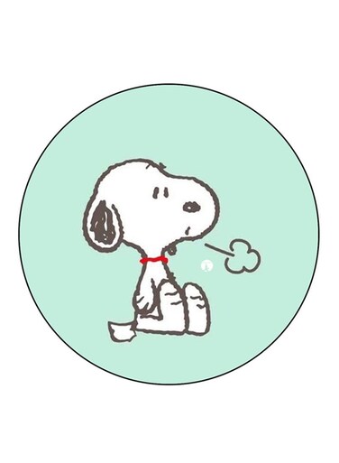 Snoopy Printed Fridge Magnet Multicolour