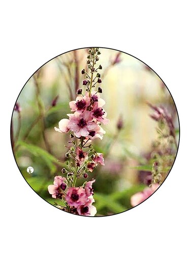 Flowers Printed Fridge Magnet Round Multicolour
