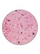 Confetti Printed Fridge Magnet Round Multicolour