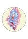 Video Game Sonic Printed Fridge Magnet Multicolour