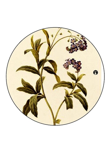 Flowers Printed Fridge Magnet Multicolour