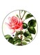 Flower Printed Fridge Magnet Multicolour