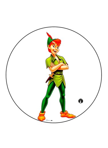 Disney Character Printed Fridge Magnet Multicolour