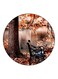 Nature Printed Fridge Magnet Brown/Black 5.5cm
