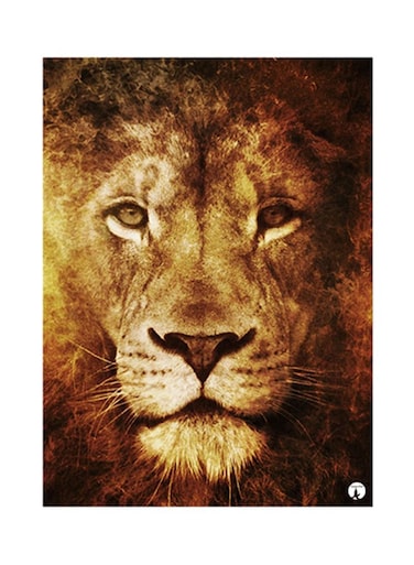 Lion Metal Plate Poster Multicolour 15x20centimeter