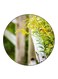 Plants Printed Fridge Magnet Multicolour