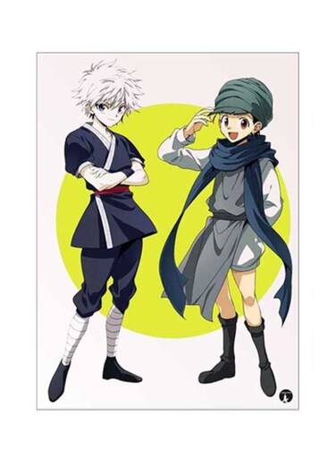 Anime Hunter X Metal Plate Poster Multicolour 15x20centimeter