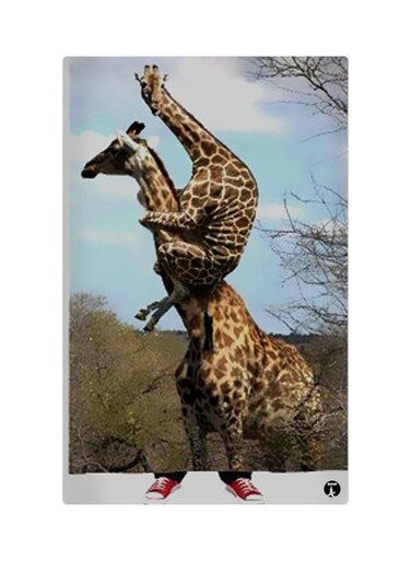 Printed Fridge Magnet Multicolour 8.5x0.4x5.5cm