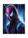 Spiderman Themed Metallic Plate Blue/Red/Black 20x15cm
