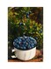 Printed Fridge Magnet Multicolour 8.5x0.4x5.5cm