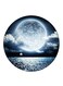Moon Printed Fridge Magnet Multicolour