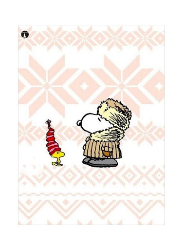 Snoopy Printed Metallic Plate White/Pink/Brown 20x15cm