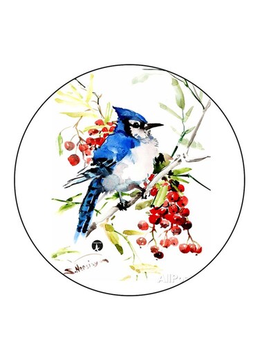 Bird Printed Fridge Magnet Multicolour