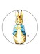 Rabbit Printed Fridge Magnet Multicolour