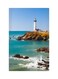 Printed Fridge Magnet Multicolour 8.5x0.4x5.5cm