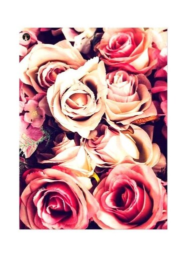 Rose Themed Metallic Plate Pink/Beige/White 20x15cm