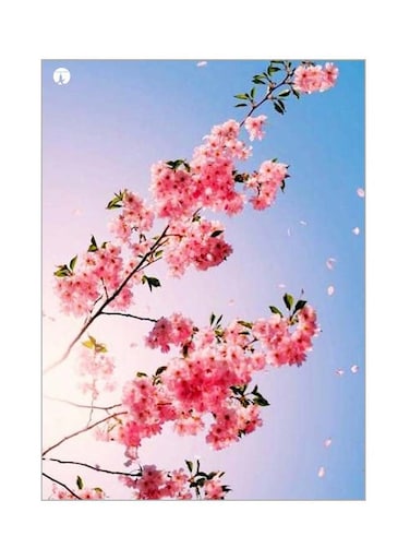 Floral Themed Metallic Plate Pink/Blue/Green 20x15cm