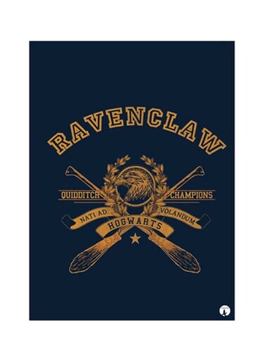 Harry Potter Metal Plate Poster Blue/Yellow 15x20cm