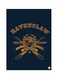 Harry Potter Metal Plate Poster Blue/Yellow 15x20cm