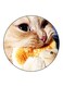 Cat Printed Fridge Magnet Round Multicolour