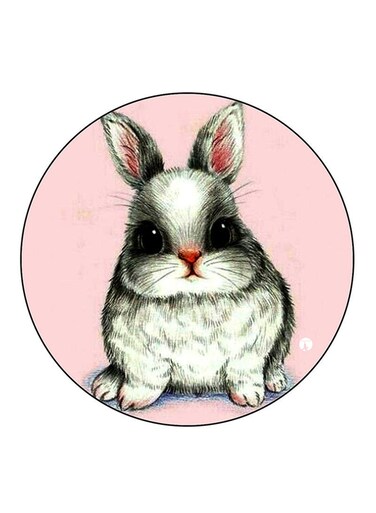 Rabbit Printed Fridge Magnet Multicolour