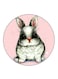 Rabbit Printed Fridge Magnet Multicolour