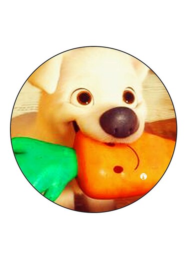 Disney Character Multicolour