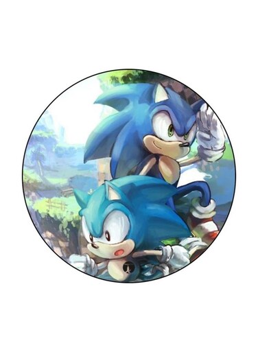 Video Game Sonic Printed Fridge Magnet Blue/Green