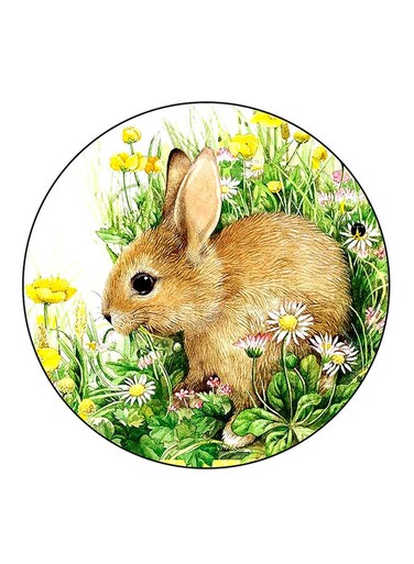 Rabbit Printed Fridge Magnet Multicolour