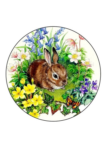 Rabbit Printed Fridge Magnet Multicolour