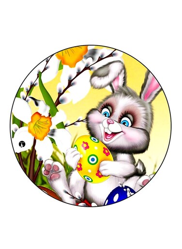 Rabbit Printed Fridge Magnet Multicolour