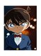 Metal Plate Of The Anime Detective Conan Poster Multicolour