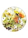 Flowers Printed Fridge Magnet Multicolour