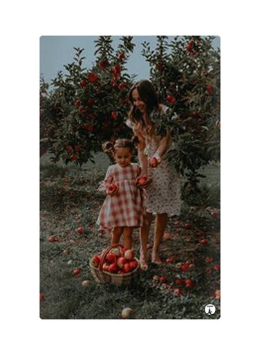 Printed Fridge Magnet Multicolour 8.5x0.4x5.5cm
