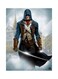 Metal Assassin's Creed Plate Poster Multicolour 15x20centimeter