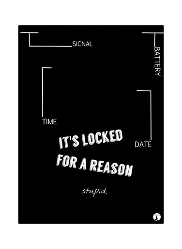 It's Locked For A Reason Quote Themed Metallic Plate Black/White 20x15cm
