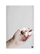 Printed Fridge Magnet Multicolour 8.5x0.4x5.5cm