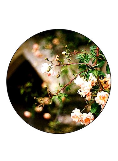 Flowers Printed Fridge Magnet Round Multicolour