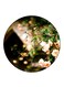 Flowers Printed Fridge Magnet Round Multicolour