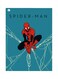 Spiderman Themed Metallic Plate Blue/Red/Black 20x15cm