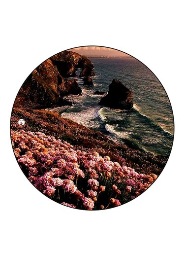 Nature Printed Fridge Magnet Multicolour