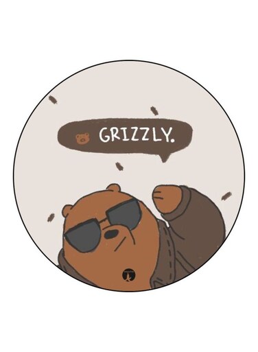 We Bare Bears Printed Fridge Magnet Brown/Black/k