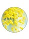 Flowers Printed Fridge Magnet Multicolour