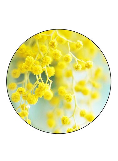 Flowers Printed Fridge Magnet Multicolour