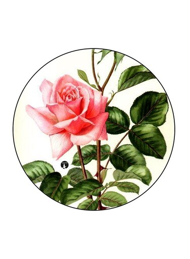 The Rose Printed Fridge Magnet Multicolour 5.5 x 5.5cm