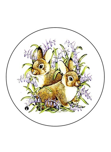 Rabbits Printed Fridge Magnet Round Multicolour