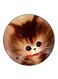 A Cat Printed Fridge Magnet Multicolour
