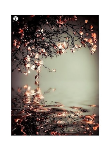 Pond Scene Themed Metallic Plate Grey/Beige/Black 20x15cm
