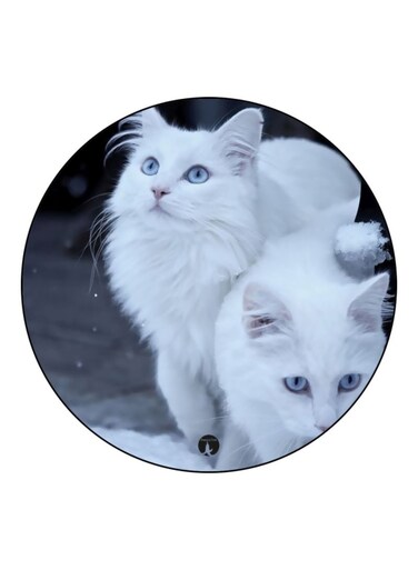 Cats Theme Printed Fridge Magnet White/Grey